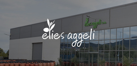 Πετεινού (Real Estate)